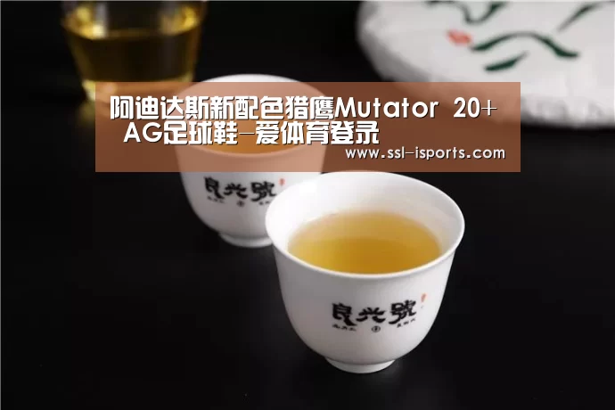 爱体育登录