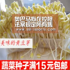 奥巴马拟在控枪法案规定所有售枪者需有执照许可(图)‘爱体育’(图1) 爱体育